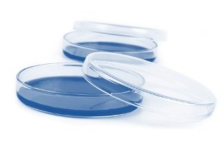 VIDRARIA PARA LABORATÓRIOS VIDRARIA PARA LABORATÓRIOS